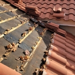 Roof Repairs Gutter Cleaning Pressure washer Residential and Commercial Cleaning AIRBNB Move In and Move Out Deeps cleans