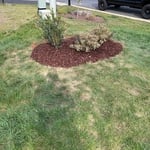 Mulching & stone down spout