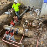 Additional Photos