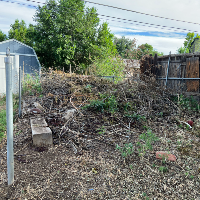 Additional Photos