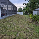 Landscaping Project