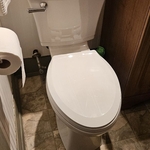 Toilet Replacement