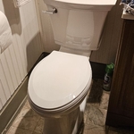 Toilet Replacement