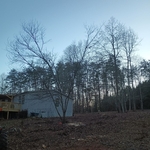 Tree Service Project