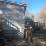 Tree Service Project