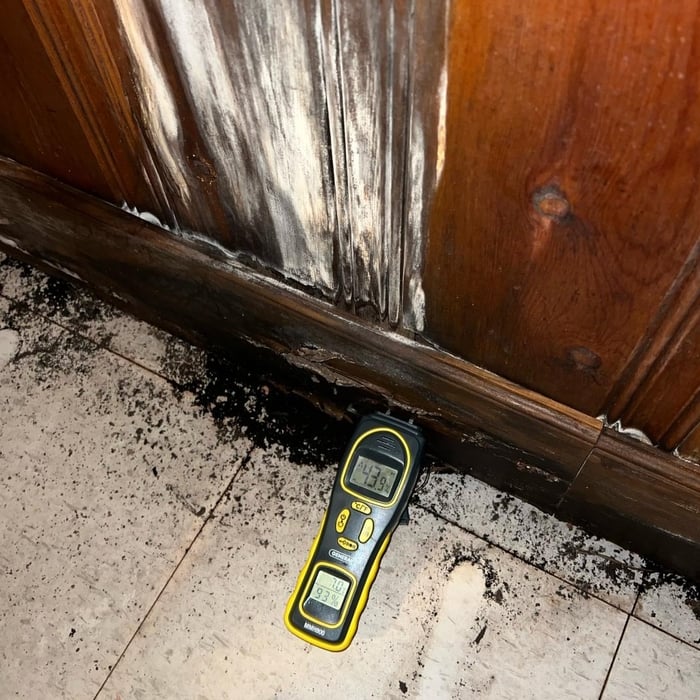 Residential Home Mold inspection