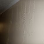 Mold Remediation