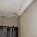 Mold Remediation