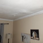 Mold Remediation