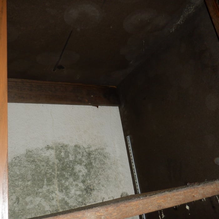 Mold Remediation