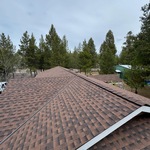 Gaf HDZ hickory roof