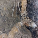 Plumbing Project