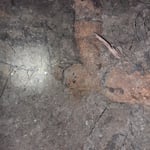 Plumbing Project