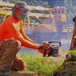 Trabajo de remover árboles