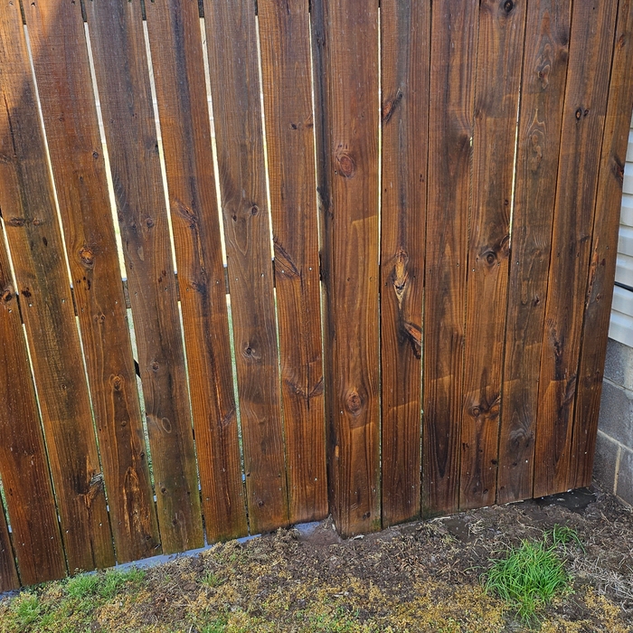 Privacy fence power washing