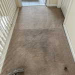Carpet Cleaning Project
