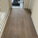 Carpet Cleaning Project