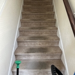 Carpet Cleaning Project