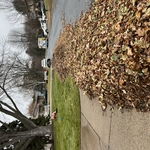 Landscaping Project