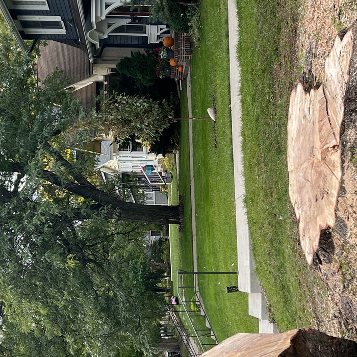 Landscaping Project