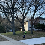Landscaping Project