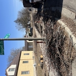 Landscaping Project