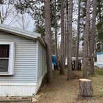 Tree Service Project