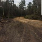 Landscaping Project