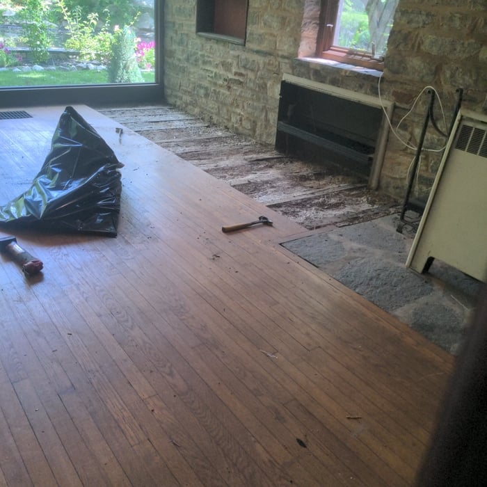 White oak floor repair "termite's"