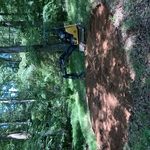 Landscaping Project