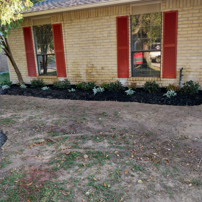 Additional Photos