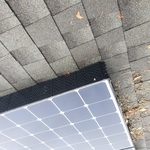 Pest Guard Installation