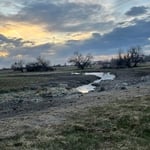 Stage two of a customer’s low cost wetland impoundment for waterfowl. Here we are in the process of tilling and smoothing out the spoils of the excavation process and spreading native grass seed as well as a wetland waterfowl seed mix.