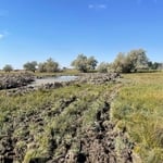 Stage one of a customer’s low cost wetland impoundment for waterfowl.
