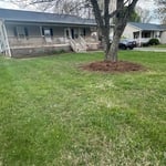 After we lay, Pineneedles lay fresh, cut grass weed eat edge the driveway and blow customers. Very happy with the work.