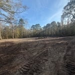 Land clear 1