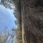 Excavating Project