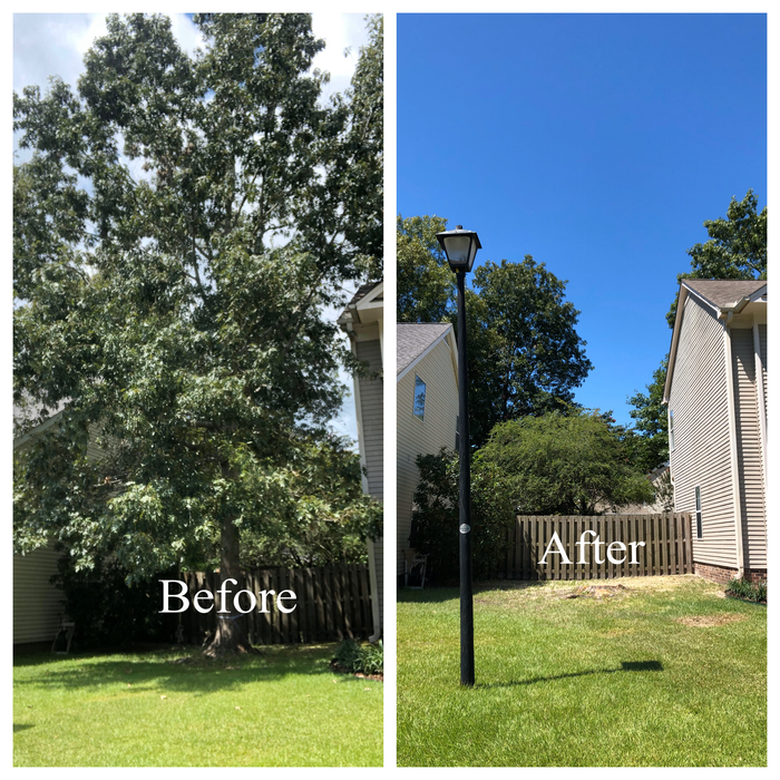 Additional Photos