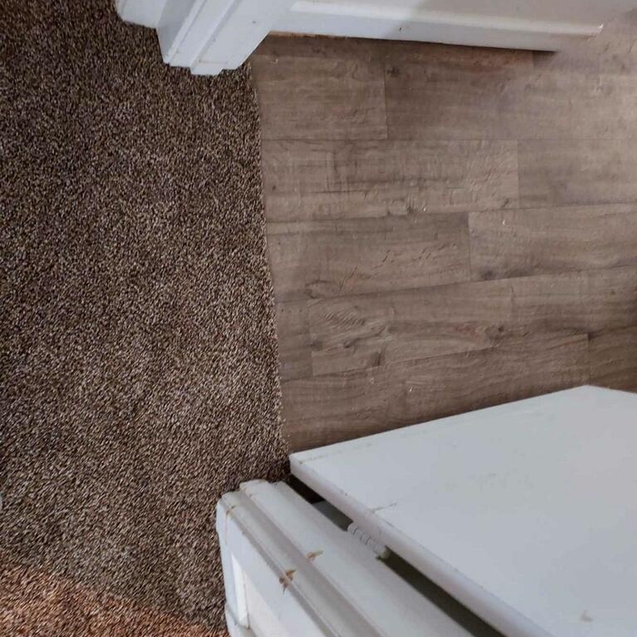 Carpet Family Room & Den