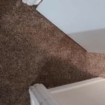 Carpet Family Room & Den