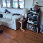 Housecleaning Project