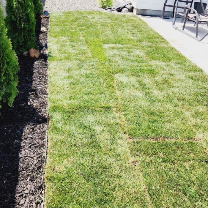 Landscaping Project