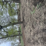 Grove Cleaning Project