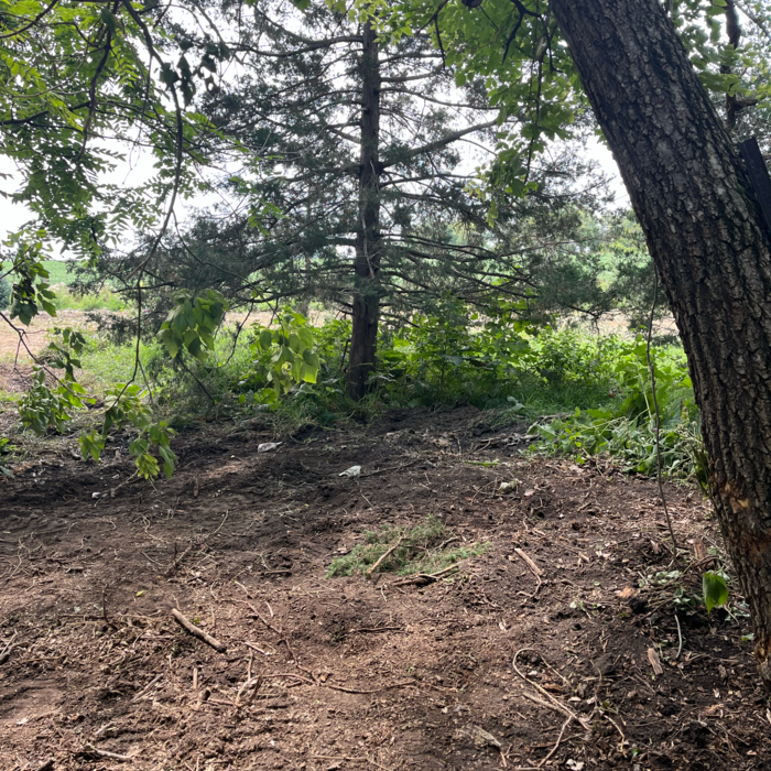 Additional Photos