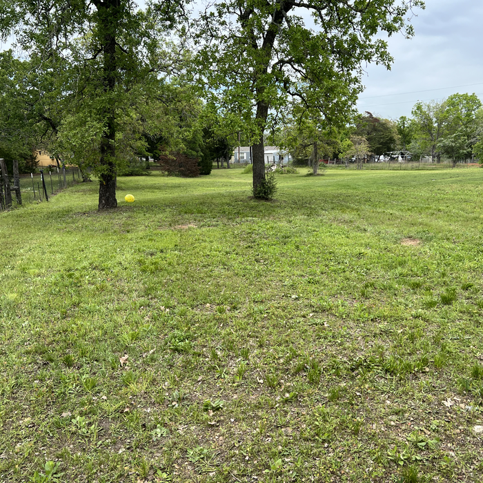 Additional Photos