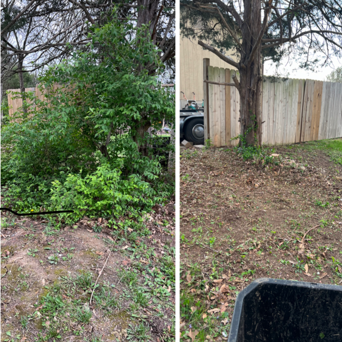 Additional Photos