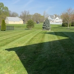 Lawn & Yard Work Project