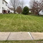 Lawn & Yard Work Project