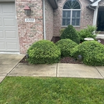 Landscaping Project