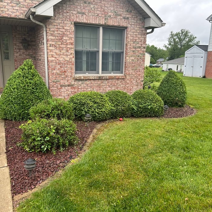 Landscaping Project